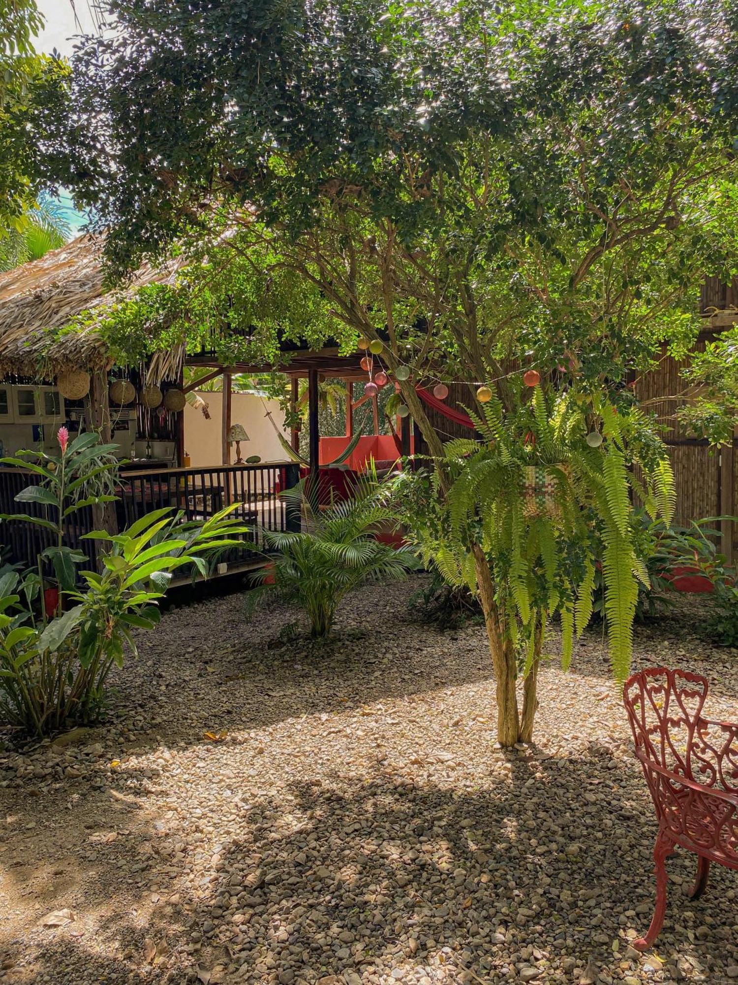 Hostal Zinpar Palomino Exterior foto